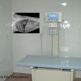  Clínica Veterinaria Dr. Nieto instalaciones clínica 13
