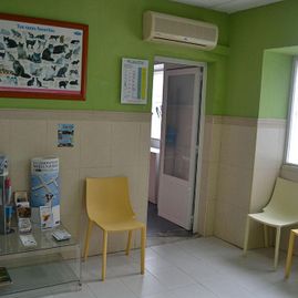  Clínica Veterinaria Dr. Nieto instalaciones clínica 6