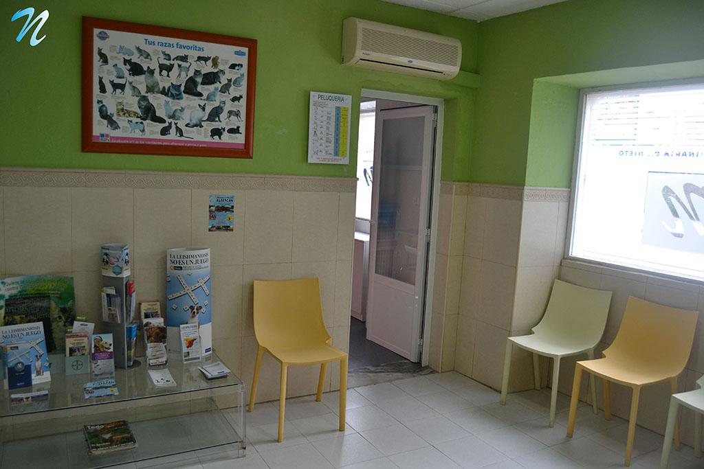  Clínica Veterinaria Dr. Nieto instalaciones clínica 6